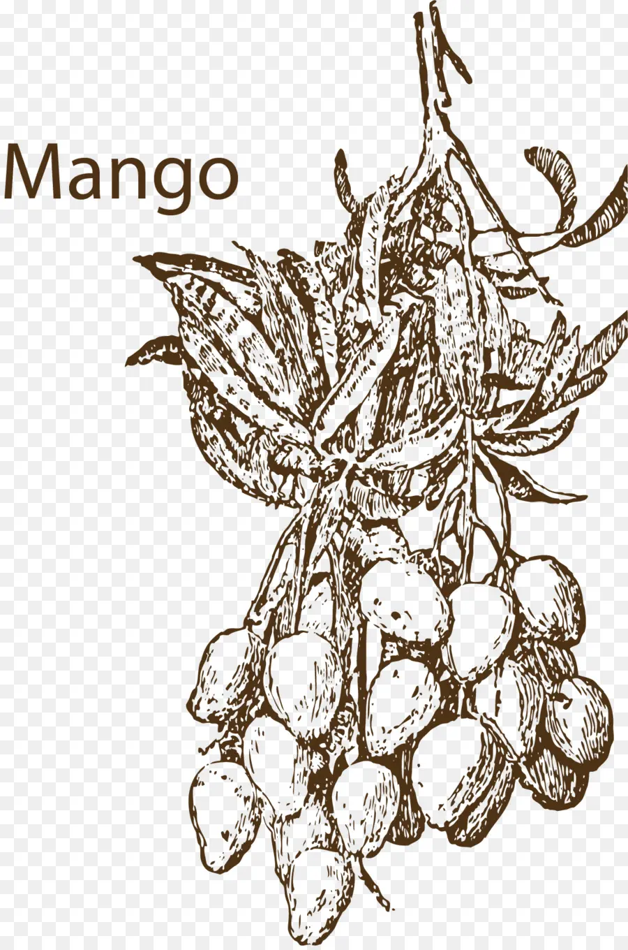 Mango，Tropikal PNG