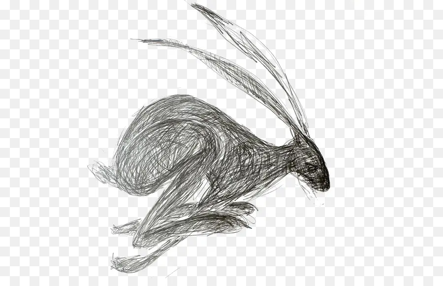 Avrupa Tavşanı，çizim PNG
