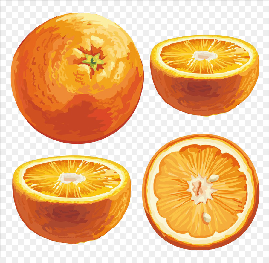 Turuncu，Citrus Sinensis Xd7 PNG