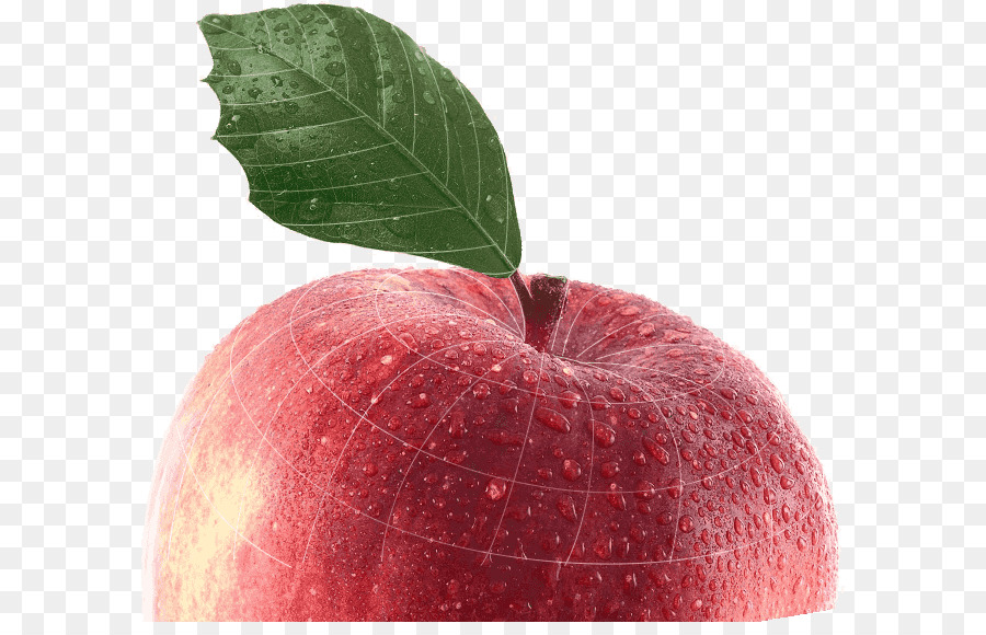 Elma，Apple Kalem PNG