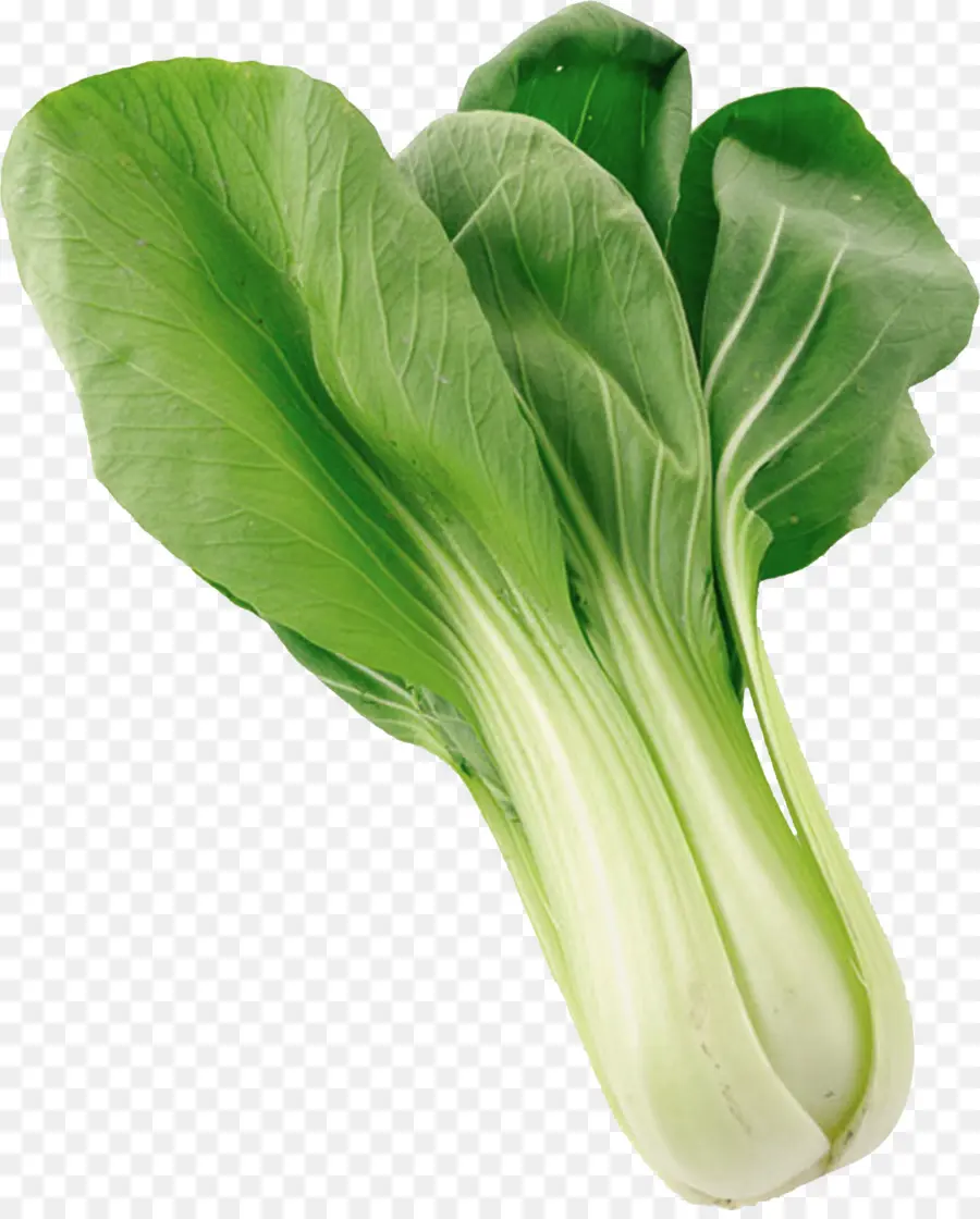 Bok Choy，Yeşil PNG