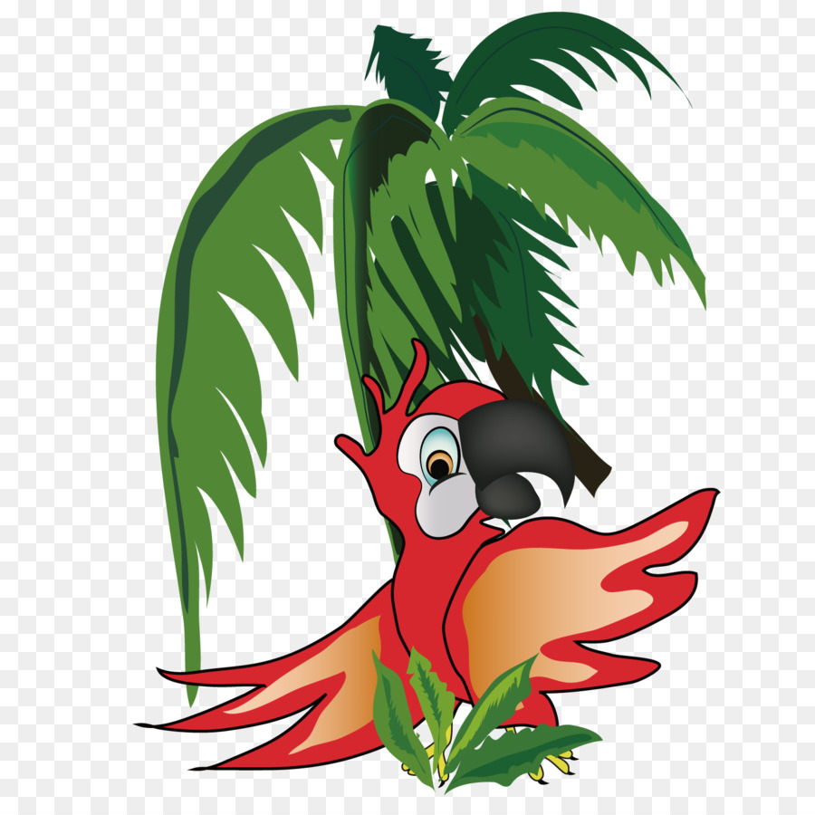 Papağan，Resim çerçevesi PNG