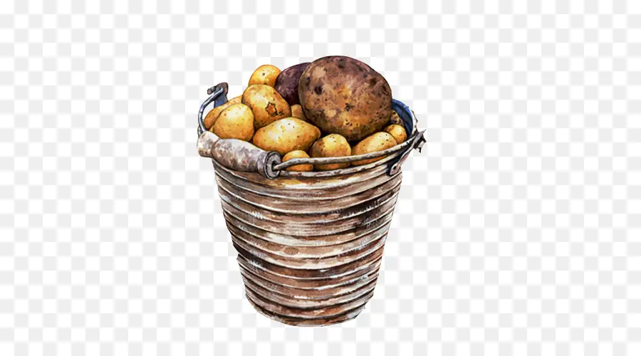 Patates Kovası，Sebze PNG