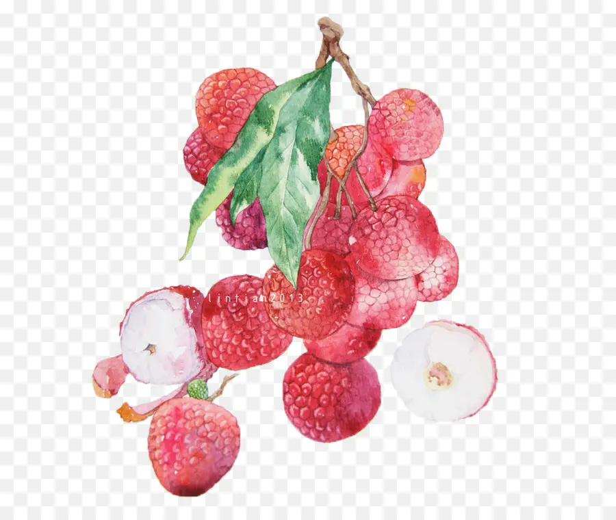 Lychee，Dal PNG