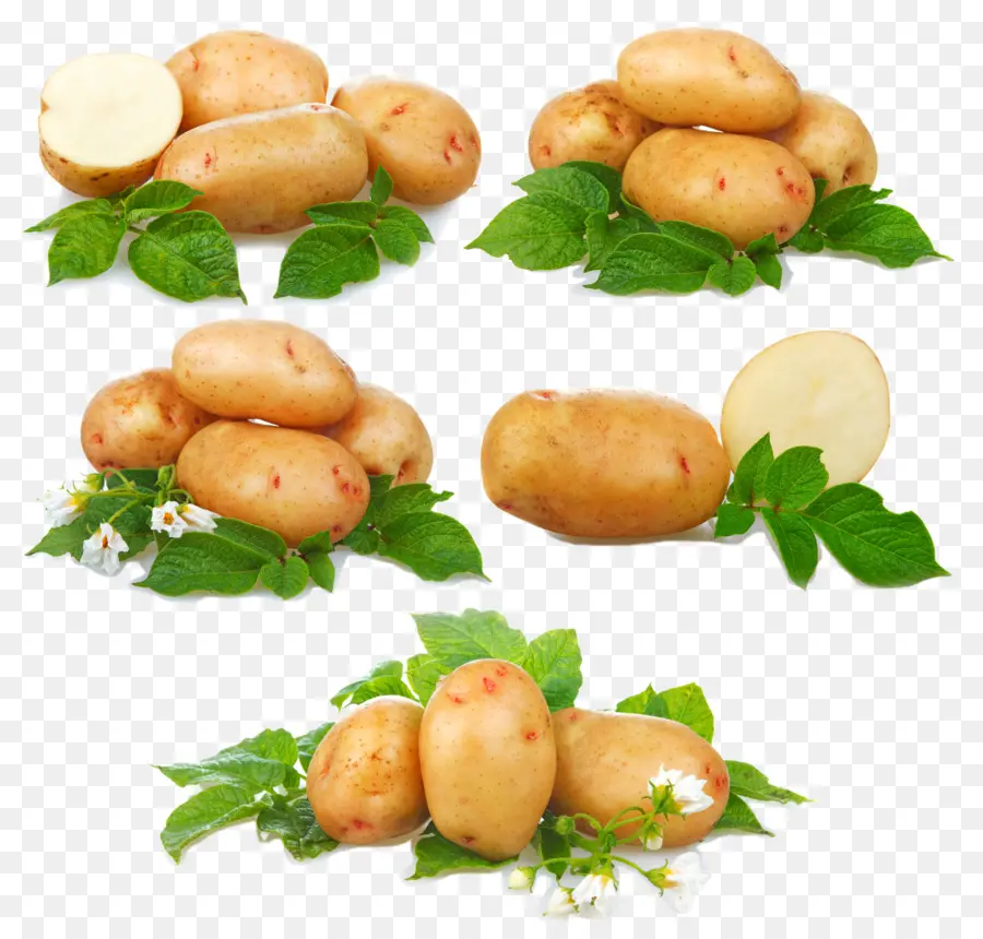 Patates Kızartması，Patates PNG