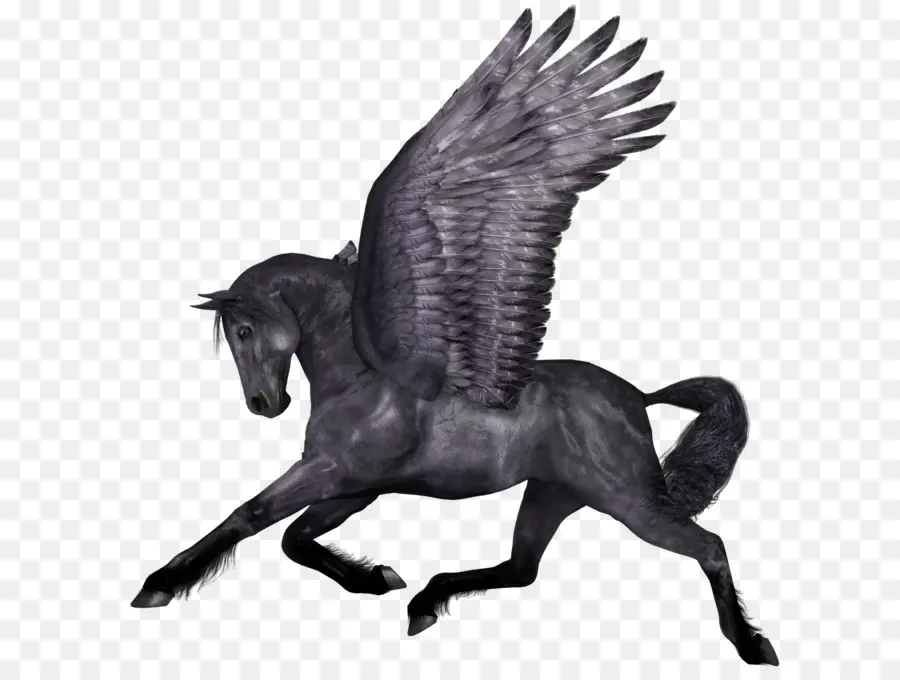 At，Pegasus PNG