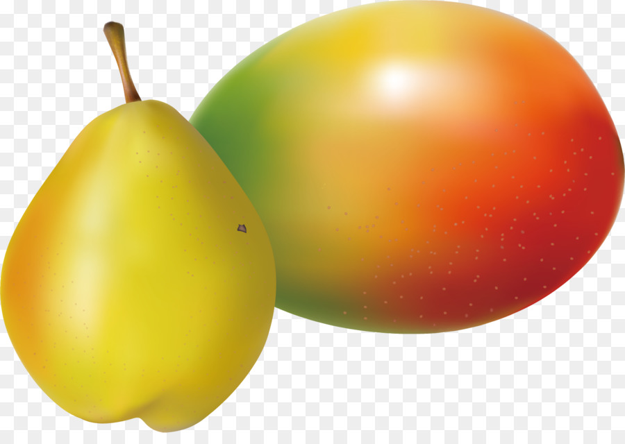 Pyrus Nivalis，Indir PNG