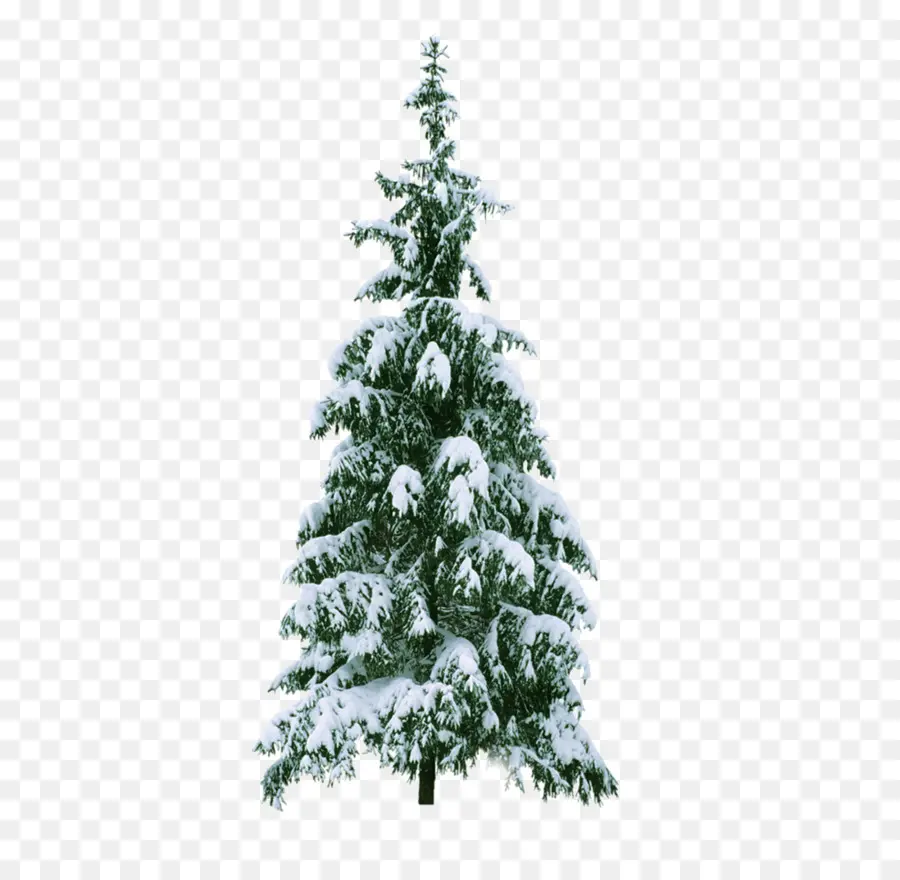 Yeni Yıl Ağacı，Noel Ağacı PNG