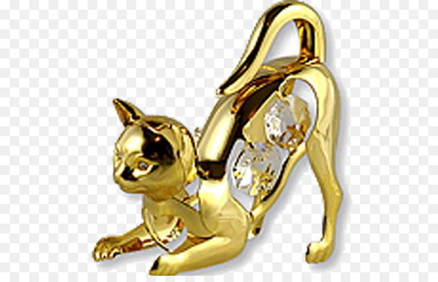 Kedi，Altın PNG