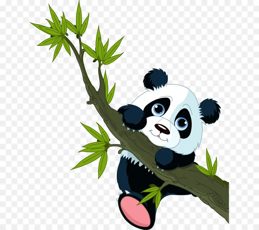 Panda，Karikatür PNG