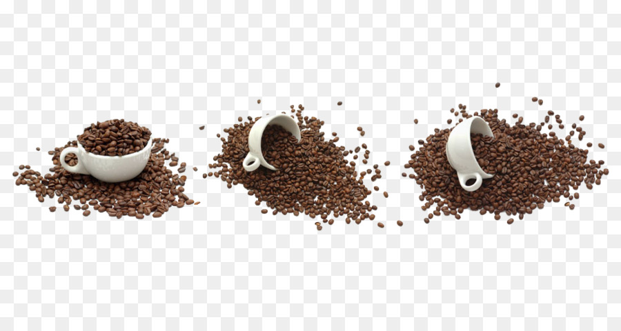 Kahve，Poliandi PNG
