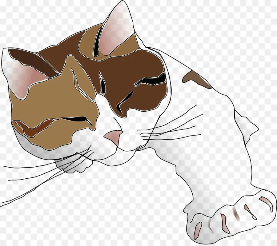 Uyuyan Kedi，Uyku PNG