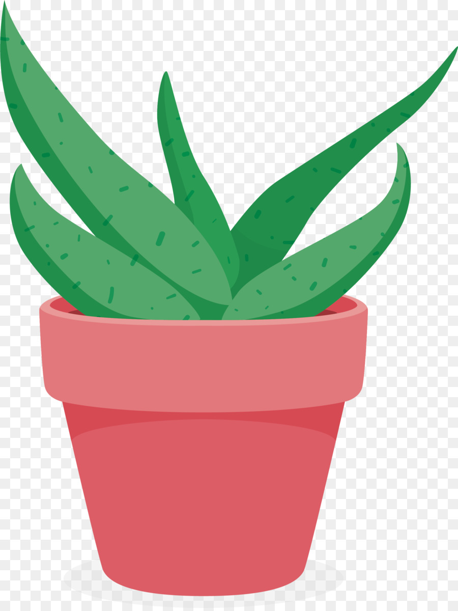 Aloe，Saksı PNG