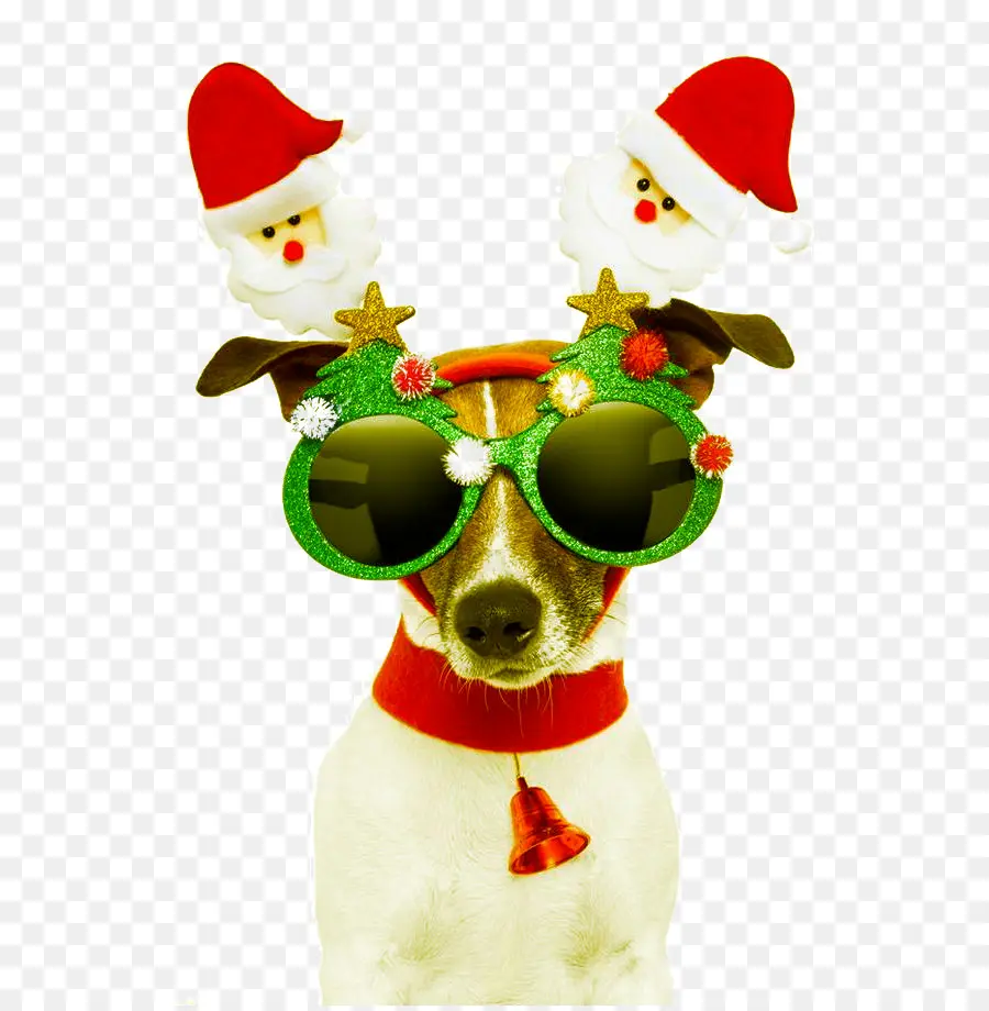 Köpek，Noel PNG