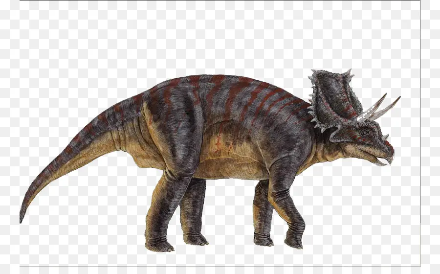 Chasmosaurus，Seratopsi PNG