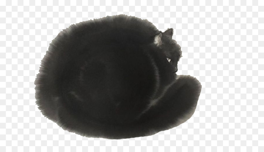 Siyah Kedi，Kedigilleri PNG