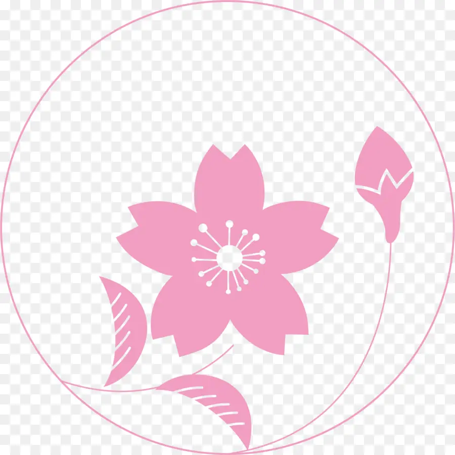 Kiraz çiçeği，Kağıt PNG