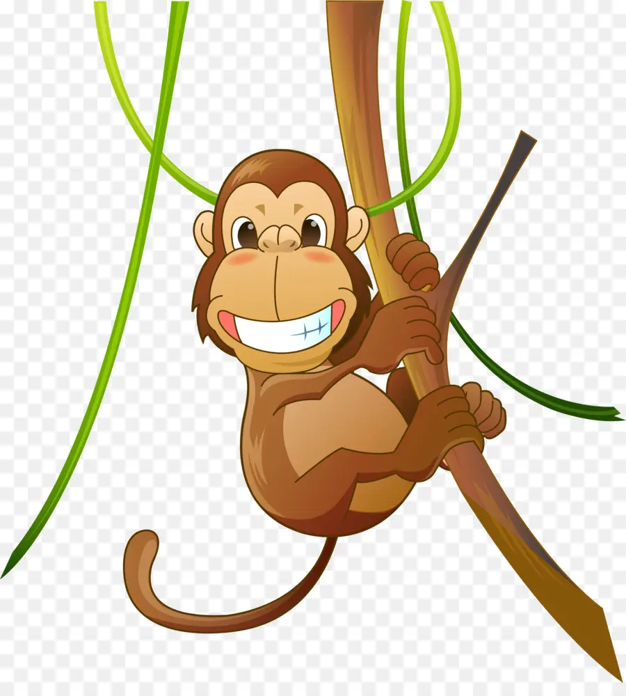 Maymun，Yeni Dünya Maymun PNG