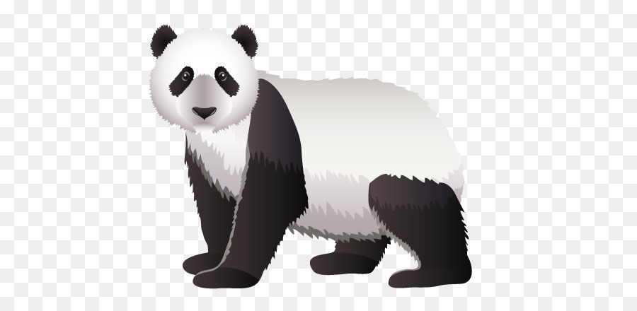 Panda，Ayı PNG