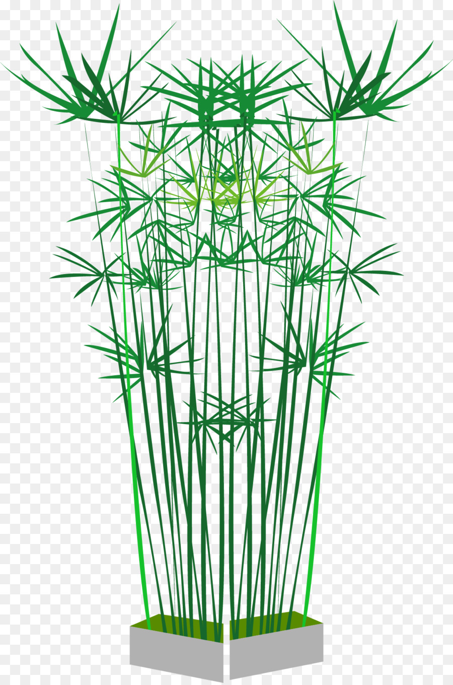 Bambu，Bamboe PNG