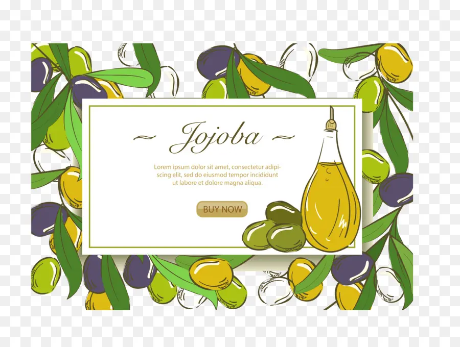 Jojoba，Yağ PNG