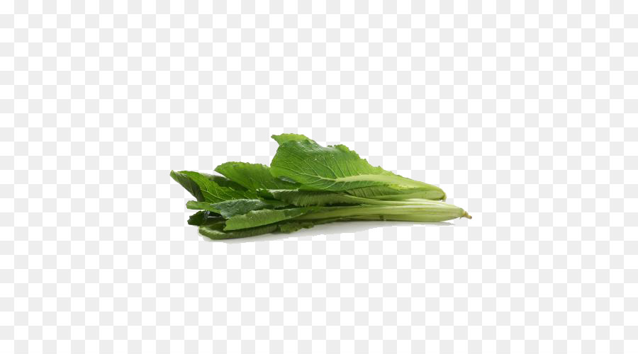 Bok Choy，Yeşil PNG