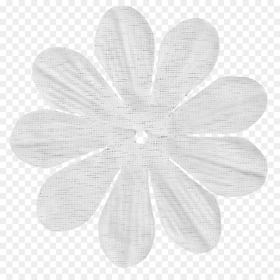 Beyaz，Yaprağı PNG