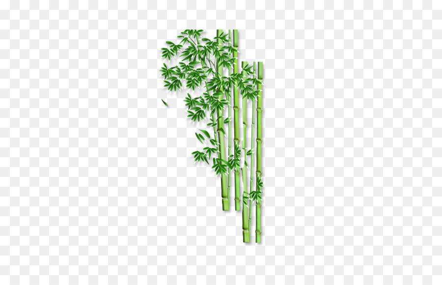 Bambu，şablon PNG