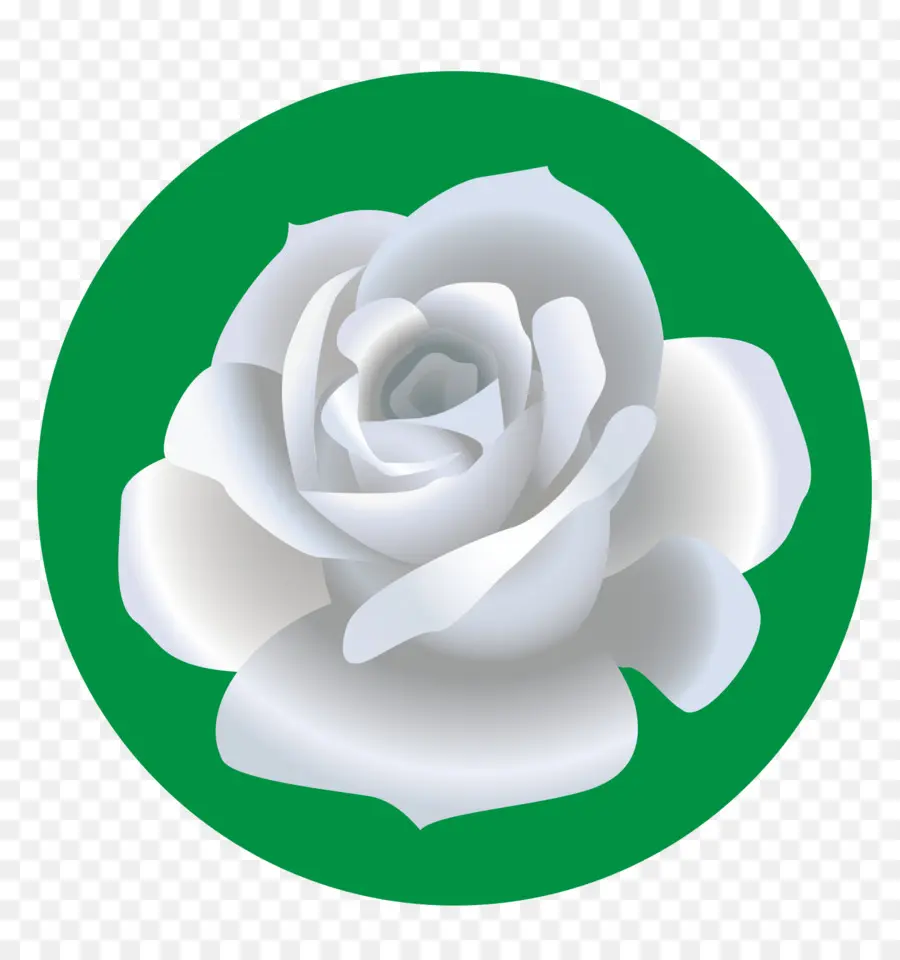 Bahçe Güller，Plaj Rose PNG