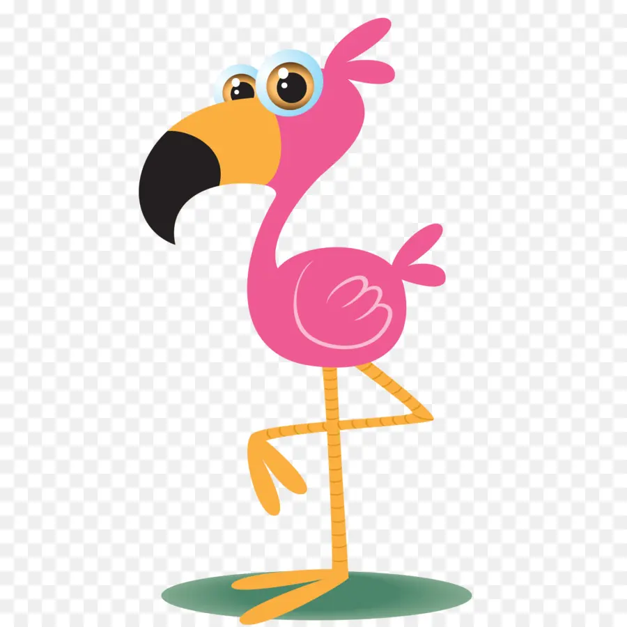 Karikatür Flamingo，Kuş PNG