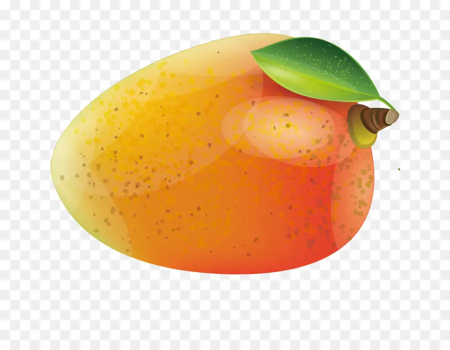 Mango Yaprağı，Dilim PNG