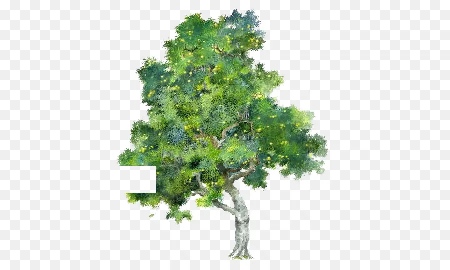 Ağaç，Resim PNG