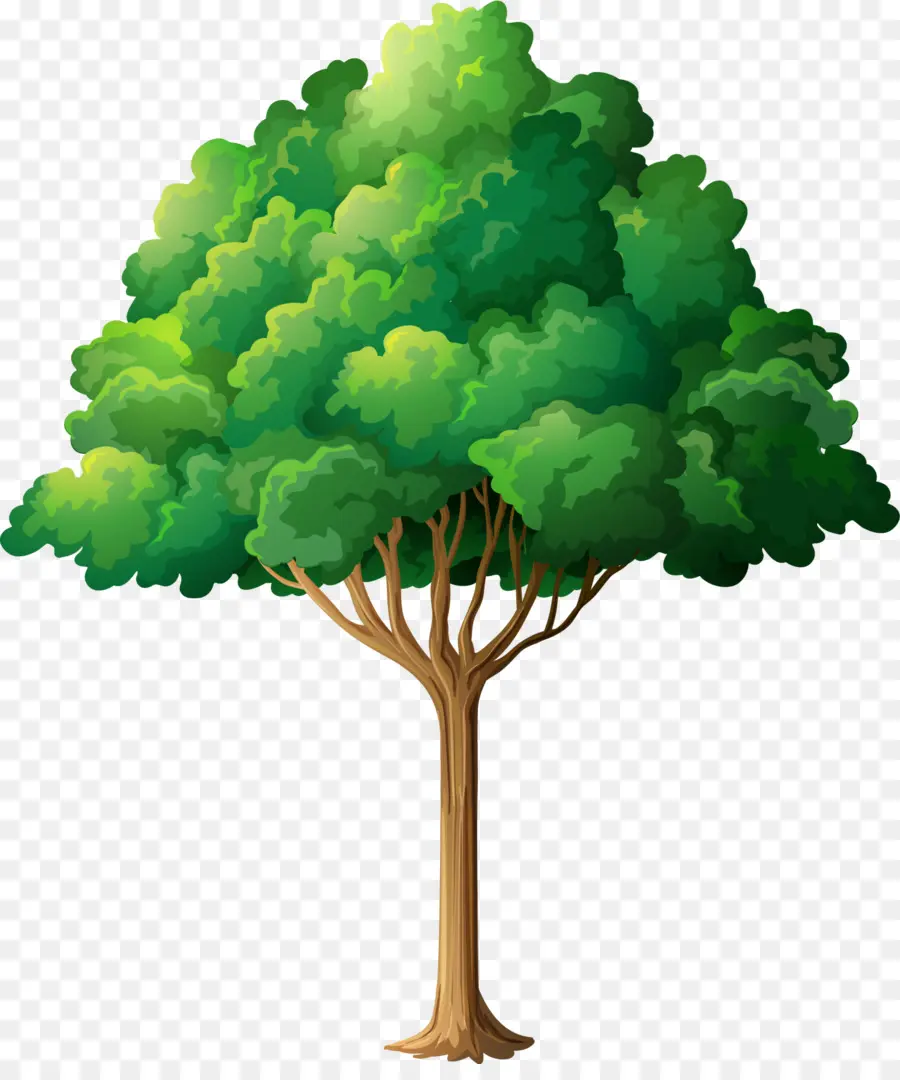 Ağaç，Ağaç Dikimi PNG