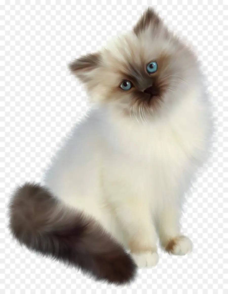 Kedi，Evcil Hayvan PNG