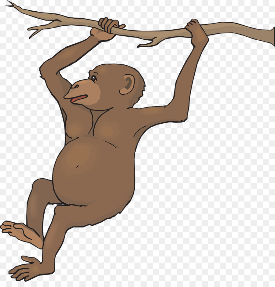 Maymun，Siyah Tellalı PNG