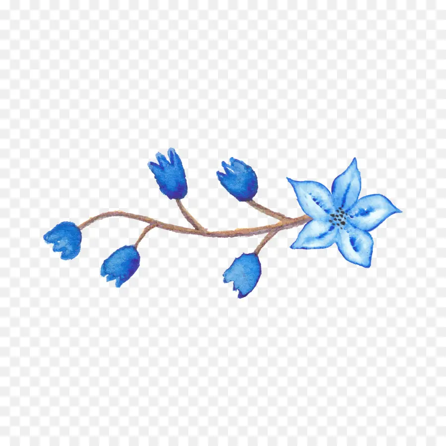 Mavi，Mavi çiçek PNG