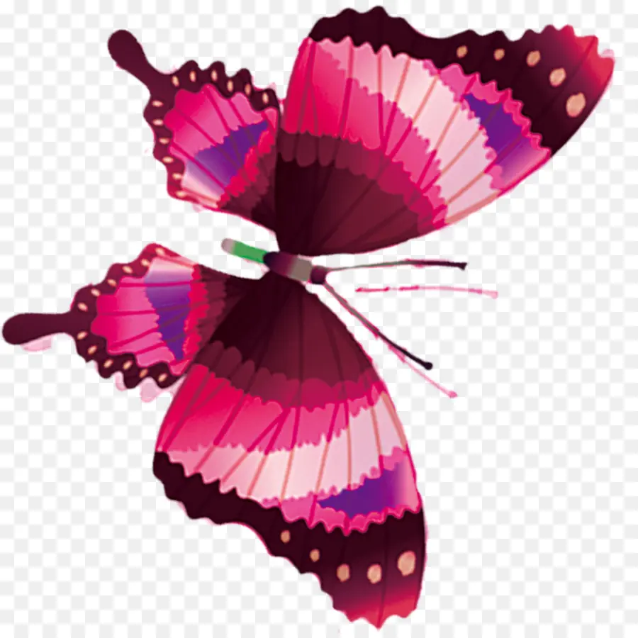 Kelebek，çiçek PNG