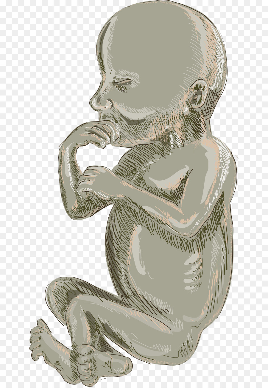 Fetus，Gebelik PNG