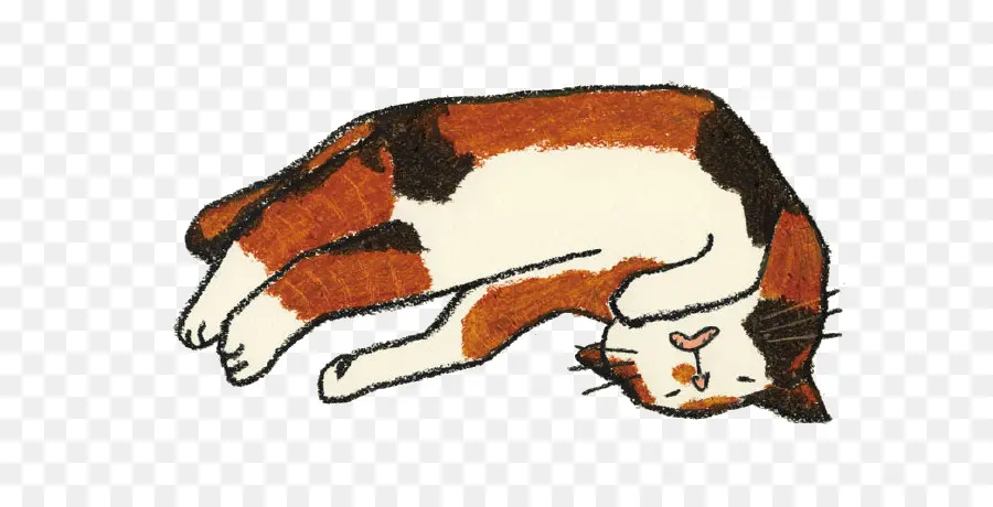 Kedi，Uyku PNG