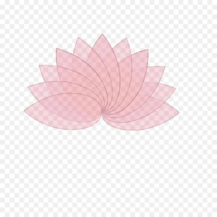 Pembe Lotus，Çiçekler PNG