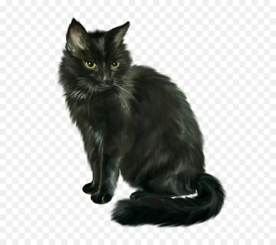 Kara Kedi，Kedi PNG