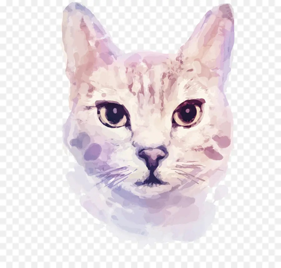 Kedi Yüzü，Portre PNG