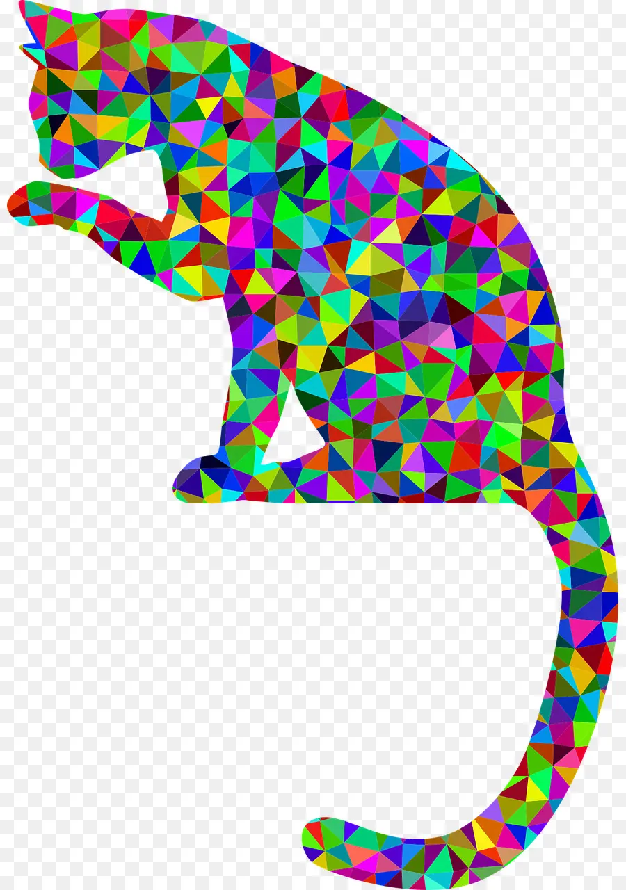 Renkli Kedi，Geometrik PNG