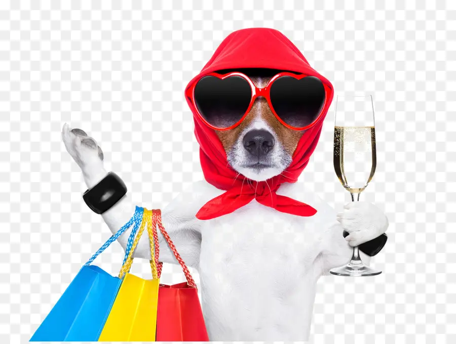 Köpek，Alışveriş PNG