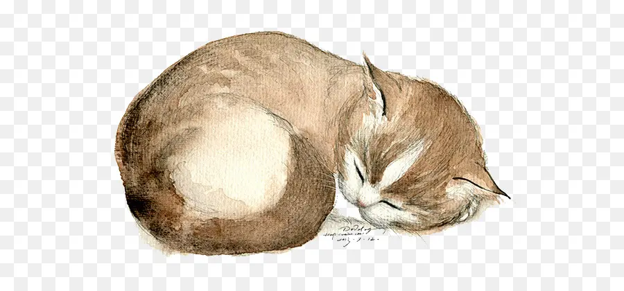 Uyuyan Kedi，Dinlenme PNG