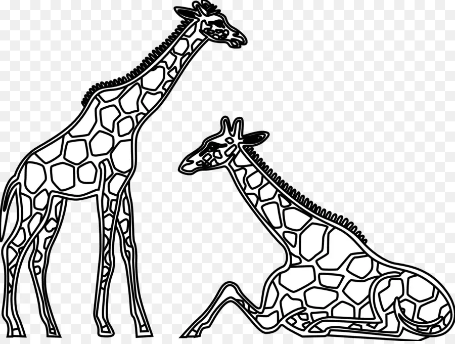 Zürafa，Siyah Ve Beyaz PNG