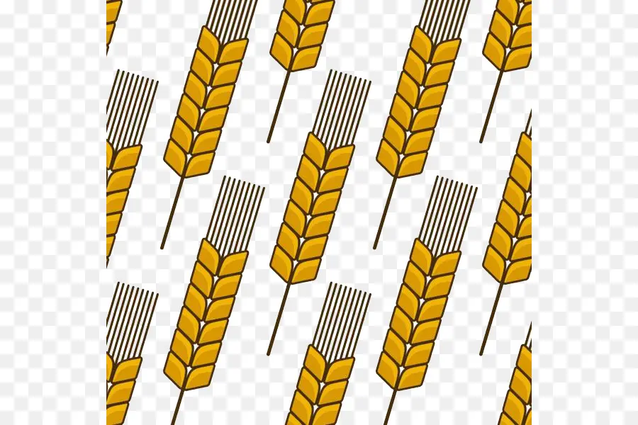 Buğday，Kulak PNG