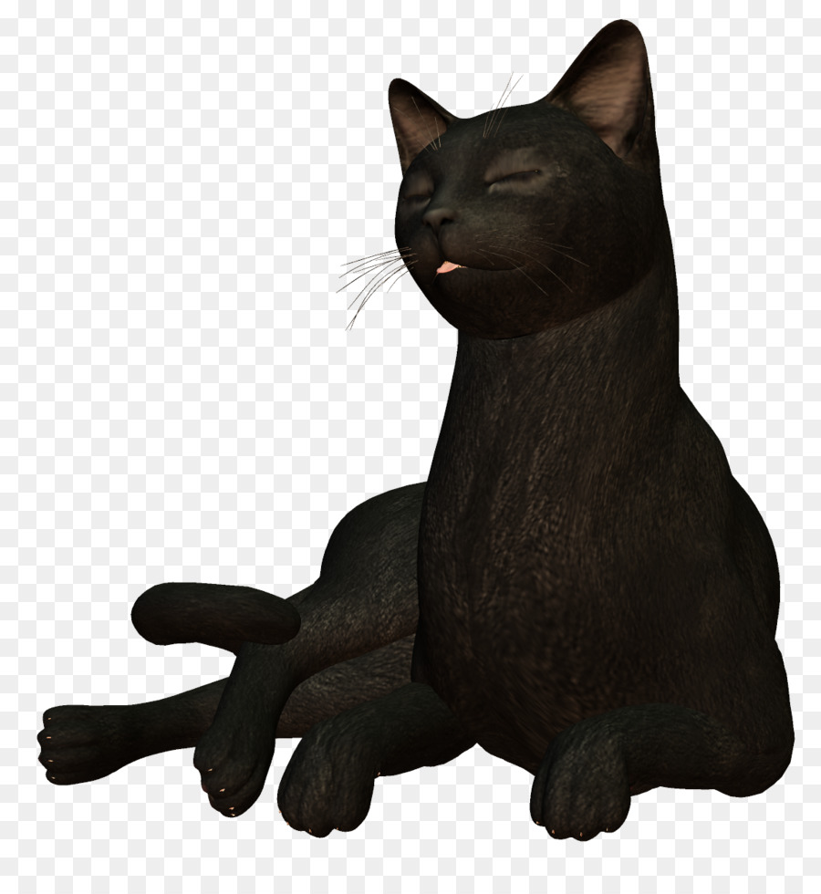 Kedi，Siyah Kedi PNG