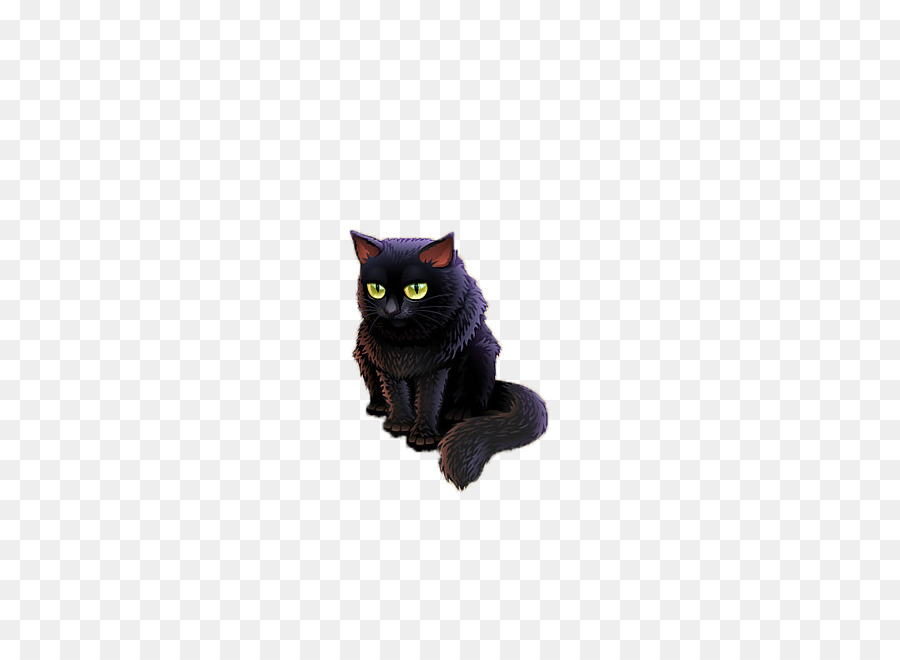 Bombay Kedi，Siyah Kedi PNG