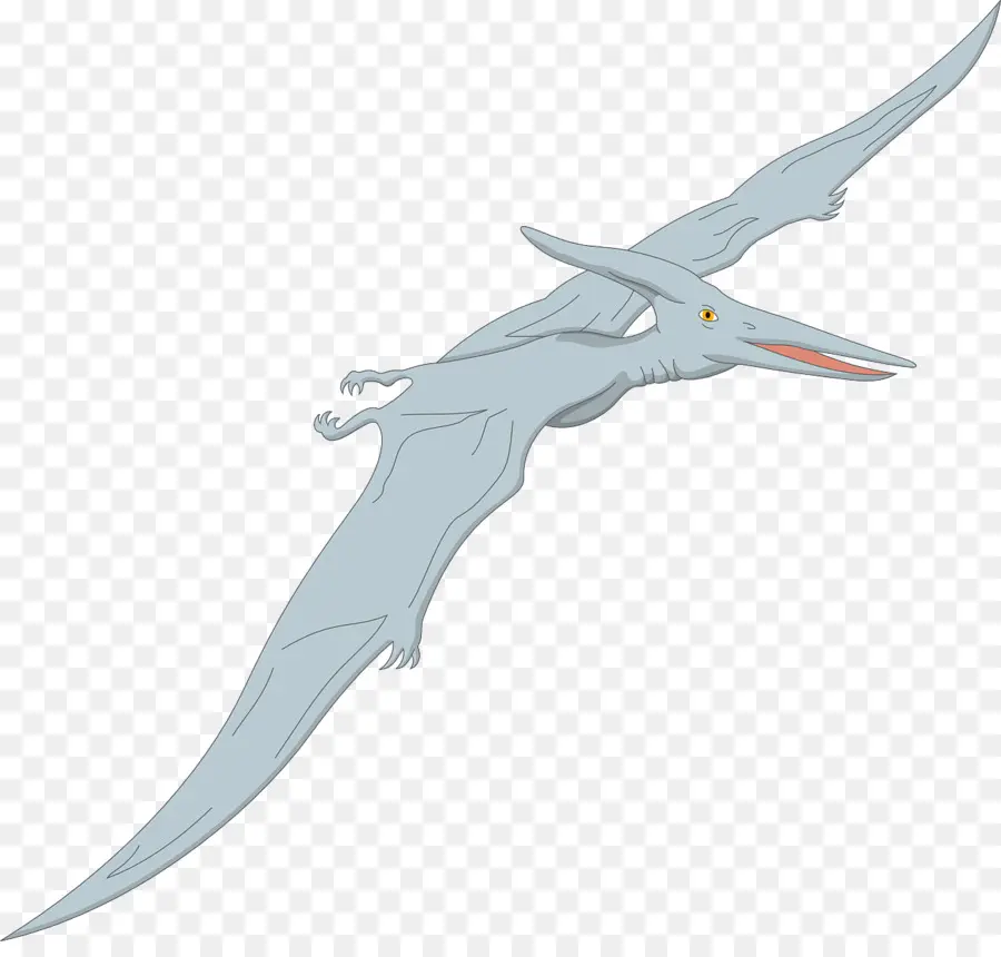 Pterodaktiller，Pteranodon PNG